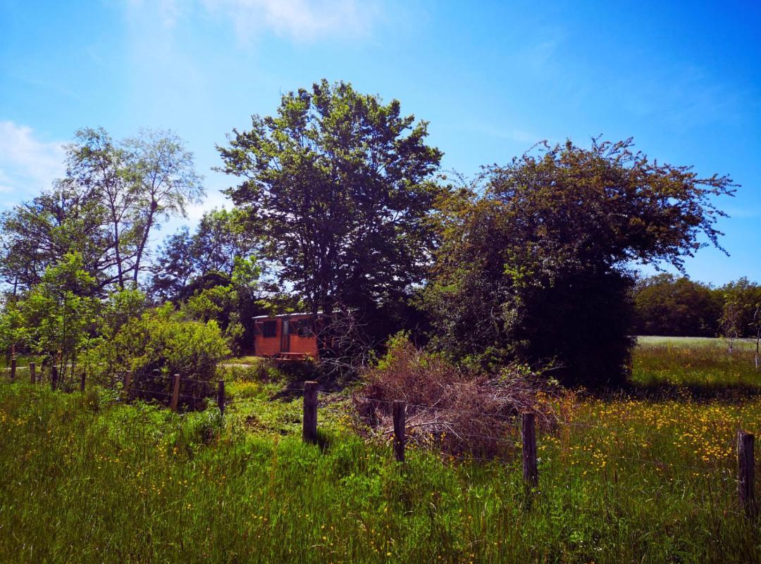 Roulotte & Foret - Evasion Boheme En Bourgogne Antully ภายนอก รูปภาพ