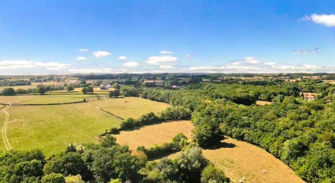Roulotte & Foret - Evasion Boheme En Bourgogne Antully ภายนอก รูปภาพ