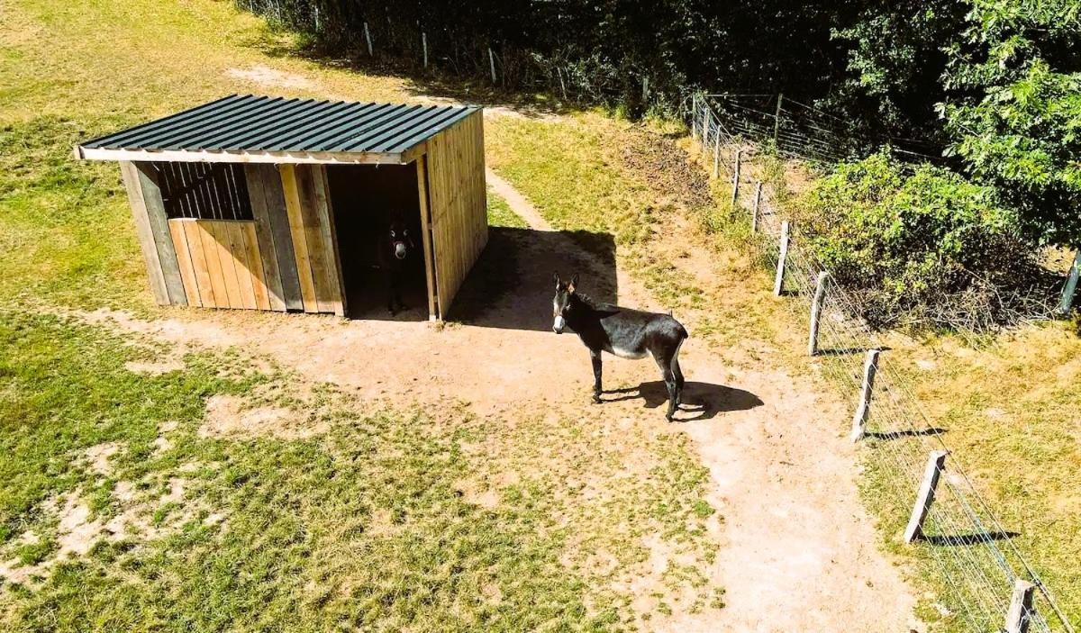 Roulotte & Foret - Evasion Boheme En Bourgogne Antully ภายนอก รูปภาพ
