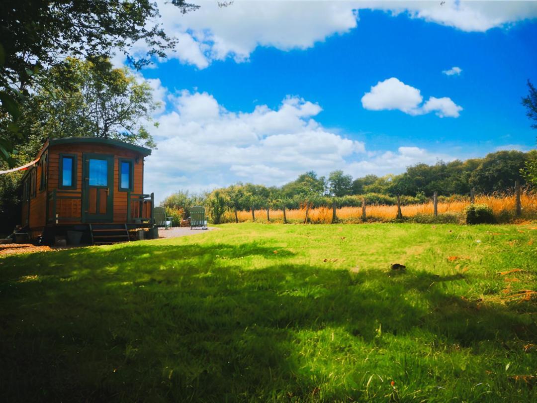 Roulotte & Foret - Evasion Boheme En Bourgogne Antully ภายนอก รูปภาพ